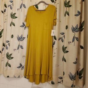 L NWT Solid LuLaRoe Carly